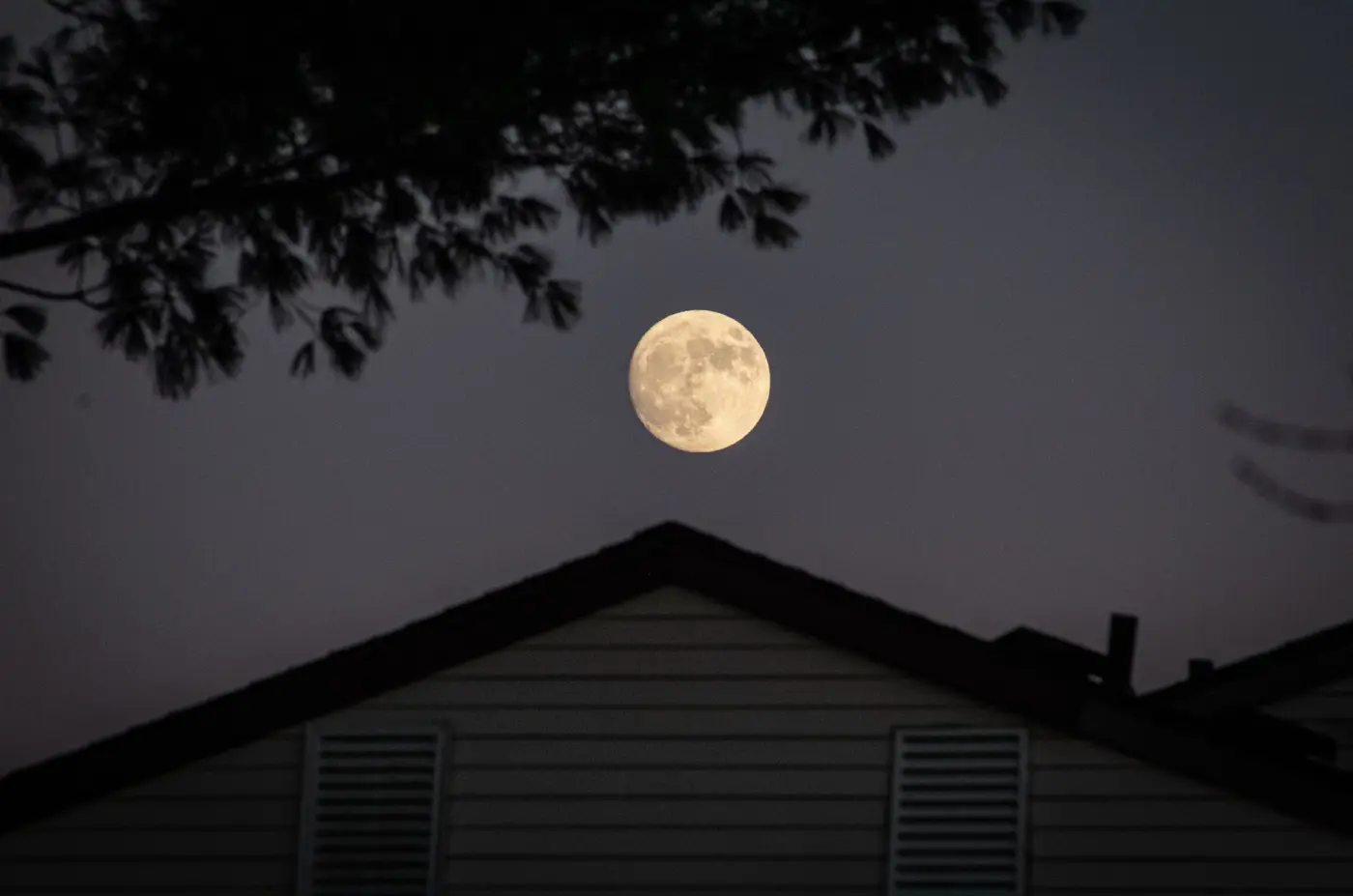 Moon in Different Houses: Complete Guide to Moon P
