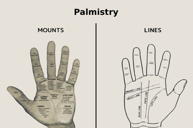 Palm reading and palmistry consultation service in Kolkata